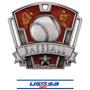 SILVER MEDAL/DELUXE USSSA NECK RIBBON