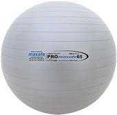 Champion Sports PROmaxafe Training Exercise Balls Champion Sports PROmaxafe Training Exercise Balls