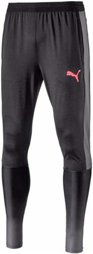 Puma Evotrg Mens Tech Soccer Pants Epic Sports