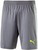 Puma Mens Evotrg Soccer Tech Shorts Puma Mens Evotrg Soccer Tech Shorts