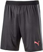Puma Mens Evotrg Soccer Tech Shorts Puma Mens Evotrg Soccer Tech Shorts