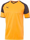 Puma Mens Borussia Short Sleeve Soccer Jersey Puma Mens Borussia Short Sleeve Soccer Jersey