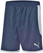 Puma Mens Borussia Soccer Shorts Puma Mens Borussia Soccer Shorts