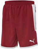 Puma Mens Borussia Soccer Shorts Puma Mens Borussia Soccer Shorts