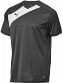 Puma Mens Santiago TG Short Sleeve Soccer Jersey Puma Mens Santiago TG Short Sleeve Soccer Jersey