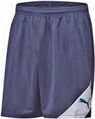 Puma Mens Santiago TJ Soccer Shorts Puma Mens Santiago TJ Soccer Shorts