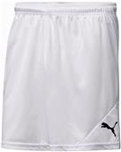Puma Mens Santiago TJ Soccer Shorts Puma Mens Santiago TJ Soccer Shorts