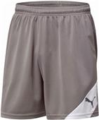 Puma Mens Santiago TJ Soccer Shorts Puma Mens Santiago TJ Soccer Shorts