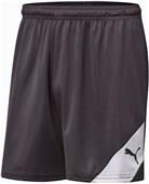 Puma Mens Santiago TJ Soccer Shorts Puma Mens Santiago TJ Soccer Shorts