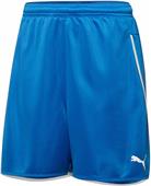 Puma Mens Speed Soccer Shorts Puma Mens Speed Soccer Shorts