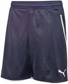 Puma Mens Speed Soccer Shorts Puma Mens Speed Soccer Shorts