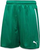 Puma Mens Speed Soccer Shorts Puma Mens Speed Soccer Shorts
