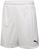 Puma Mens Speed Soccer Shorts Puma Mens Speed Soccer Shorts