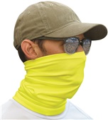 Paragon Sun Neck Gaiter