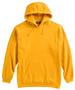 Pennant Adult Youth Super 10 Hoodie ATHLETIC GOLD Primary
