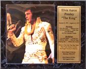 Encore Brandz Elvis Presley Stat Plaque Encore Brandz Elvis Presley Stat Plaque