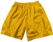 Adult & Youth Poly Micro Mesh Shorts - Closeout Adult & Youth Poly Micro Mesh Shorts - Closeout