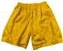 Adult & Youth Poly Micro Mesh Shorts - Closeout