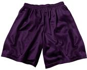 Adult & Youth Poly Micro Mesh Shorts - Closeout Adult & Youth Poly Micro Mesh Shorts - Closeout