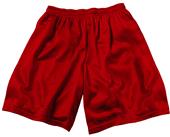 Adult & Youth Poly Micro Mesh Shorts - Closeout Adult & Youth Poly Micro Mesh Shorts - Closeout
