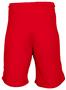 Adult Nylon (Oversized)  No Pockets Micro Mesh Shorts 9" Inseam - CO