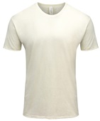 Threadfast Apparel Triblend Short Sleeve Tee