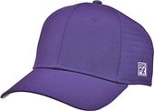 The Game Precurved Perforated GameChanger Cap gb904