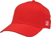 The Game Precurved Perforated GameChanger Cap gb904