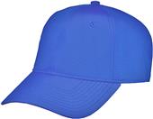 The Game Brrr Instant Cooling Precurved Bill Cap