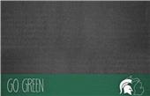 Fan Mats NCAA Michigan State University Grill Mat