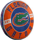 Northwest NCAA Florida Cloud Pillow