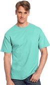 Hanes Mens Rib Crewneck Authentic-T T-Shirt 5250T CLEAN MINT Primary