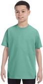 Hanes Youth 6.1 oz. Tagless T-Shirt CLEAN MINT Primary