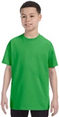 Hanes Youth 6.1 oz. Tagless T-Shirt SHAMROCK GREEN Primary