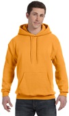 Hanes Unisex Ecosmart 50/50 Pullover Hoodie