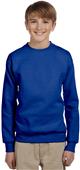 Hanes Youth ComfortBlend EcoSmart Fleece Crew DEEP ROYAL Primary