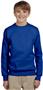 Hanes Youth ComfortBlend EcoSmart Fleece Crew DEEP ROYAL Primary