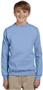 Hanes Youth ComfortBlend EcoSmart Fleece Crew LIGHT BLUE Primary