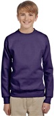 Hanes Youth ComfortBlend EcoSmart Fleece Crew NAVY Primary