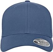 Flexfit Adult 110 Mesh Cap