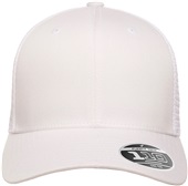 Flexfit Adult 110 Mesh Cap