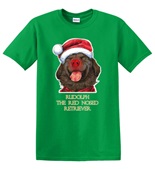 Epic Adult/Youth Red Nosed Lab Cotton Graphic T-Shirts