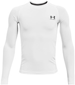 Under Armour Boys' HeatGear Armour Long Sleeve 1361731