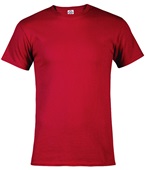 Short Sleeve T-Shirt, Adult Pre-Shrunk ( AXL - Graphite Heather)