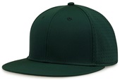 The Game Adult Youth Perforated GameChanger Snapback Cap