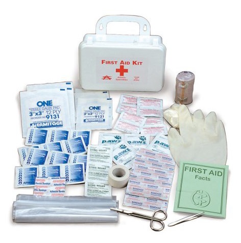 Athletic Specialties Small Team First Aid Kit (60PC)