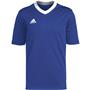 TEAM ROYAL BLUE