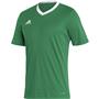 TEAM GREEN/WHITE