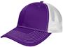 PURPLE/WHITE