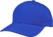 The Game Adult & Youth TC Twill Snapback Cap (Purple or Blush)